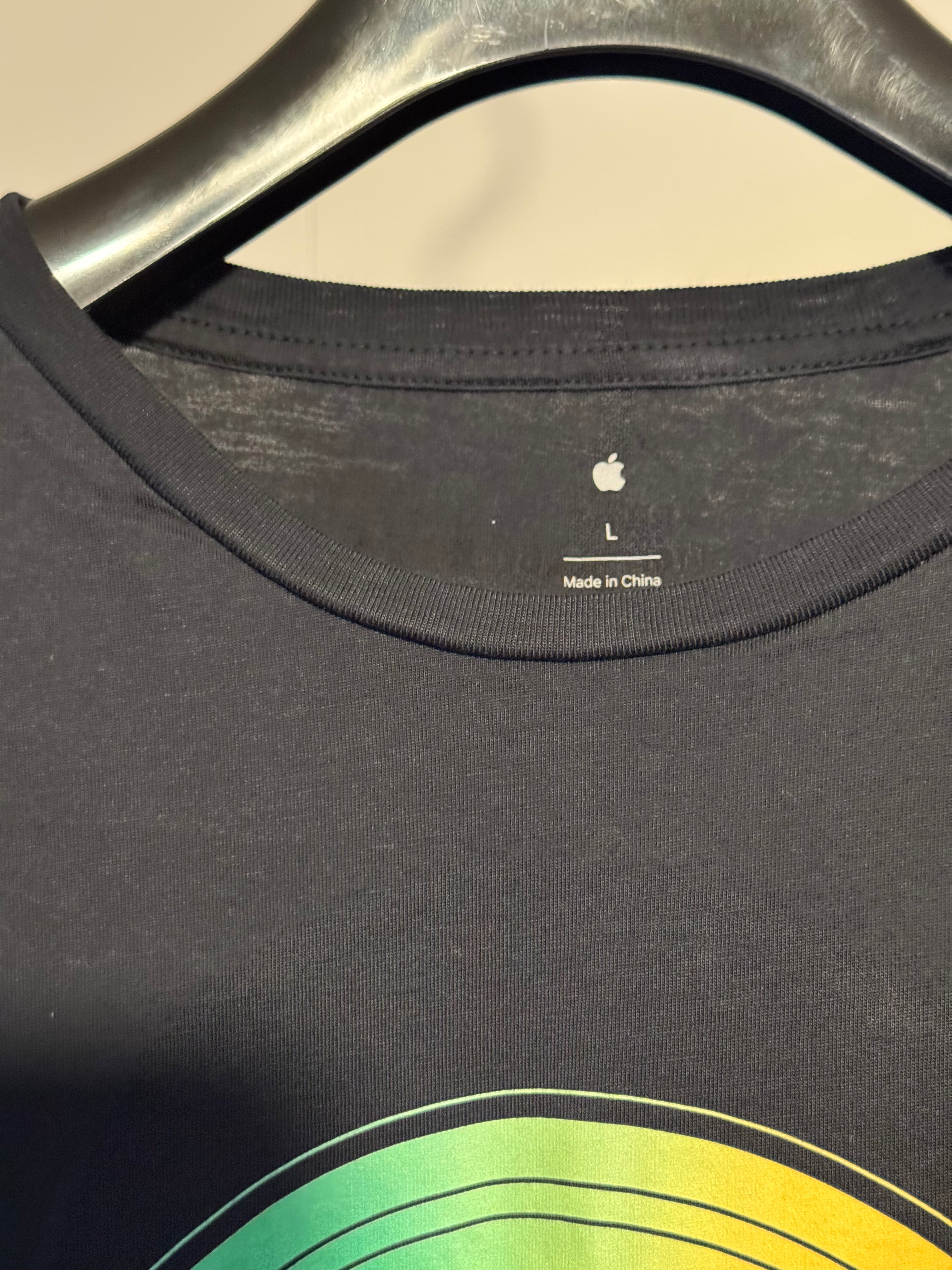 Apple Park Rainbow Ring Graphic T-Shirt L Black