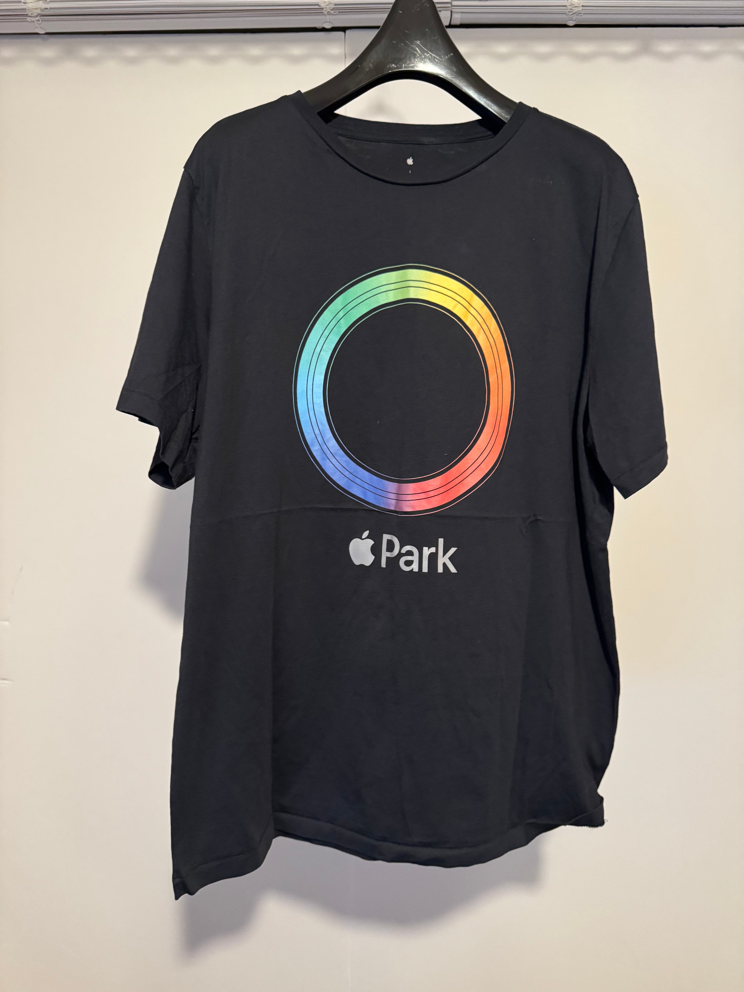Apple Park Rainbow Ring Graphic T-Shirt L Black