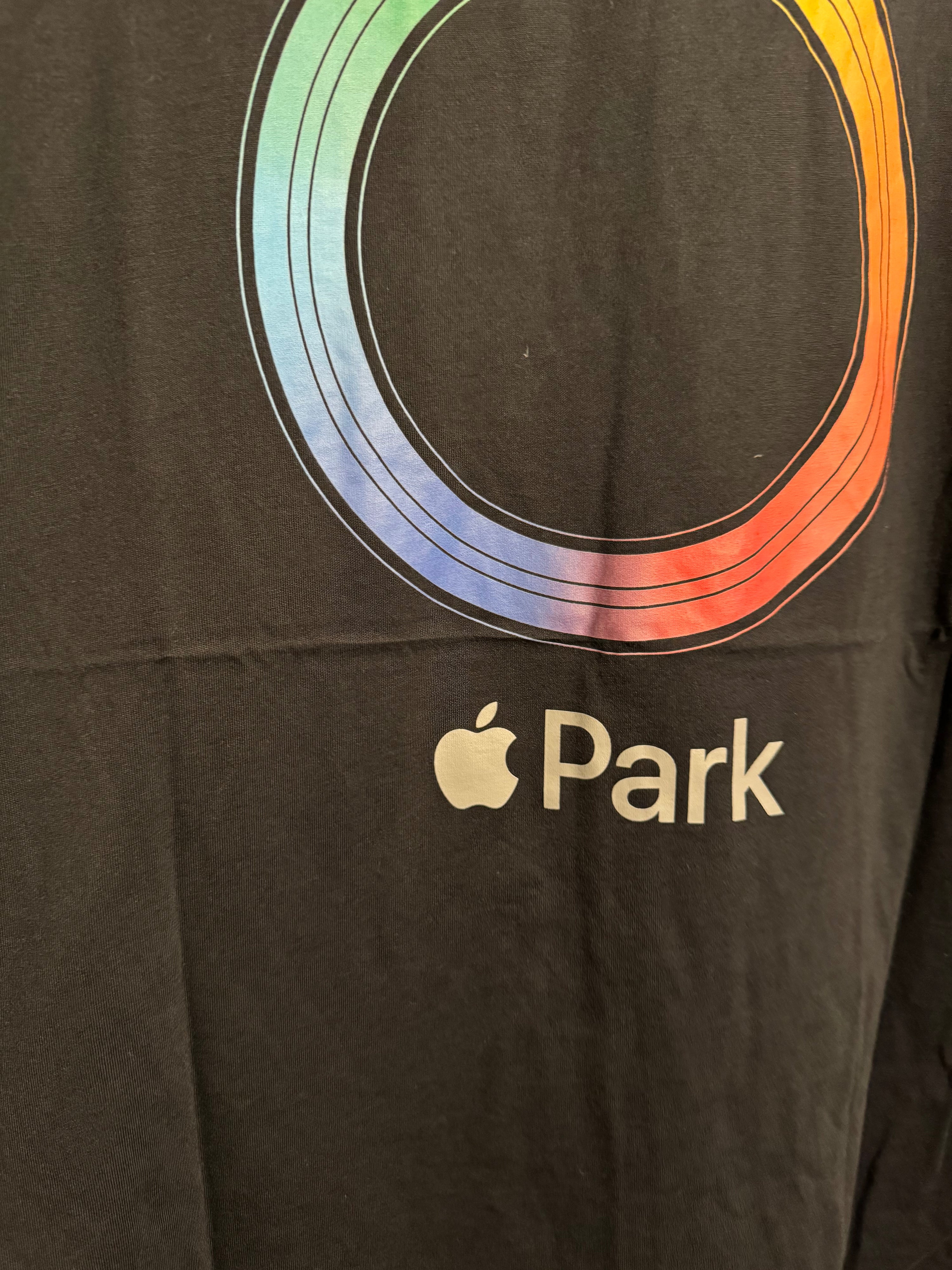 Apple Park Rainbow Ring Graphic T-Shirt L Black